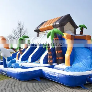 Boys and Girls Water Inflatable Pool Slide, Low Price Inflatable Waterslide on Sale thumbnail-4