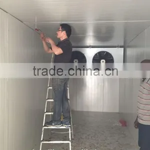 +8 to +2 C Cold Storage Room thumbnail-4