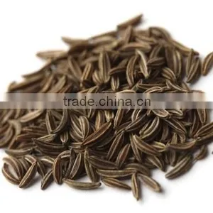 Cumin Seeds thumbnail-1