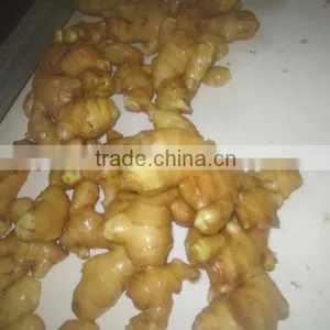 Fresn&clean Ginger Root/china Origin thumbnail-1