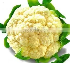 New Crop Frozen Cauliflower thumbnail-1