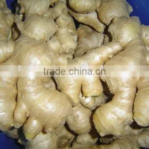 China Mature Ginger thumbnail-1