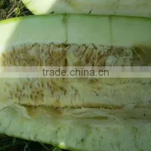 Pumpkin Seeds Kernel Broken Kernel Cheap Price thumbnail-4