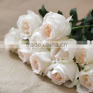 Wholesale Different Types of Fresh Cut Flowers White Roses for Sale thumbnail-1