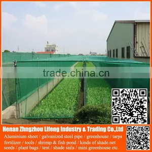 Top Product pe Greenhouse Anti Insect Proof Net , Plastic Vegetable Anti Insect Net , Nylon Agricultural Anti Insect Net thumbnail-4