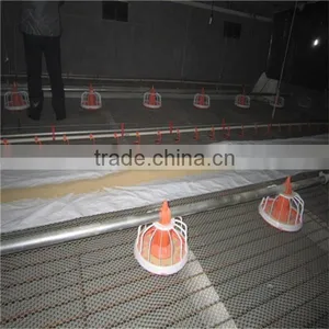Broiler Poultry Feeding Equipment thumbnail-2