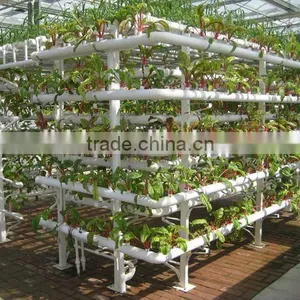 BaoLiDa High Quality PE Sheet Greenhouse Hot-dip Galvanized Steel Tube Tomato Greenhouse thumbnail-2
