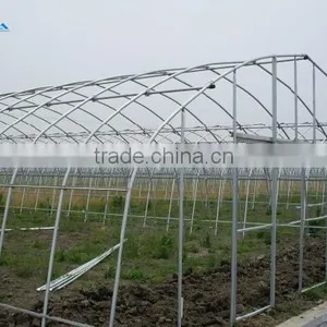 High Performance Pe Film Greenhouse For Strawberry thumbnail-3