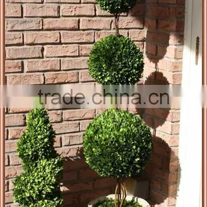 White Potted Preserved Triple Boxwood Balls Tree thumbnail-3