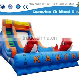Build Your Own Playground Slide/ Large Inflatable Slide / Inflatable Pool Slides for Inground Pools thumbnail-1
