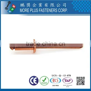 Made in Taiwan Steel Stainless Steel Copper Color Pop Special DIN 7337 Blind Flat Head Rivet thumbnail-2