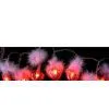 Sell 20L Red Heart With Feather thumbnail-1