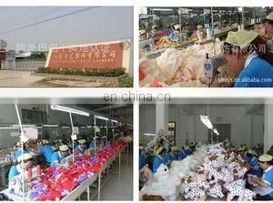 Nanjing 1st Dragon Craft Garment Co., Ltd. company overview - view 1 thumbnail