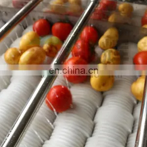 Automatic Brush Peach Mango Lemon Apple Berry Fruit Washer Bell Pepper Potato Vegetable Cleaning Washing Machines thumbnail-7