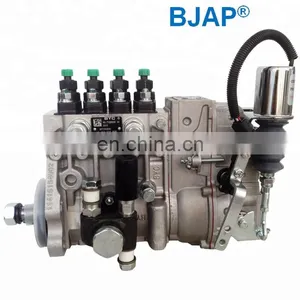 Asimco Tianwei (BYC) Injection Pump 10 403 574 088 10403574088 thumbnail-1