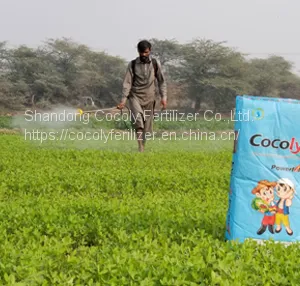 A Functional Fertilizer Cocoly That Can Regulate Soil pH thumbnail-4