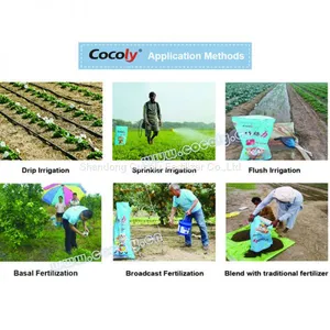 Cocoly Granular Water Soluble Fertilizer With Rich Nutriens and Complete Formula thumbnail-4