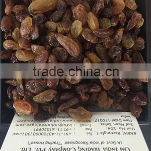 DRIED GRAPES thumbnail-2