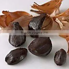 Aged Black Garlic thumbnail-1