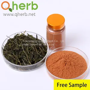Green Tea Extract Powder thumbnail-1