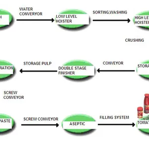 Full Complete Tomato Paste Production Machines for Fruit & Vegetable Processing thumbnail-5