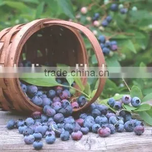 Bulk Frozen Blueberries thumbnail-1