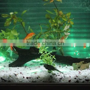 YD IP68 Waterproof Underwater Display LED RGB Point Light Source thumbnail-2