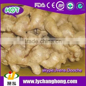 2015 New Crop 30Lbs/pvc Ctn Air Dried Ginger From China thumbnail-1