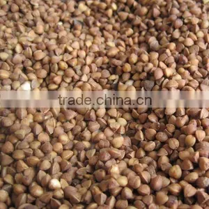 Roasted Buckwheat Kernels , Inner Mongolia thumbnail-1