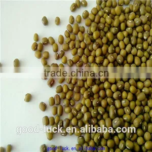 2011 New Crop Mung Bean thumbnail-6
