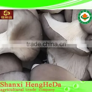 Best Selling Chinese Style Dried Shitake Mushroom Wholesale thumbnail-1