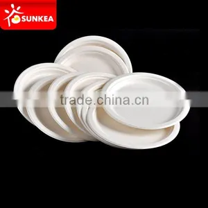 Food Grade Paper Pulp Plates for Takeaway Food Quality Choice thumbnail-1