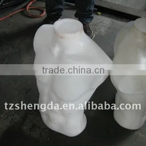 Accumulator Extrusion Blow Molding Machine Taizhou Machine thumbnail-1