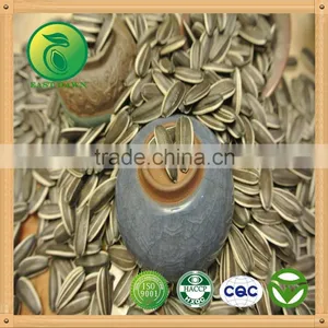 Sunflower Seeds for Oil 5009 3939 Health Product China thumbnail-1