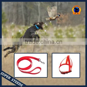Hot Selling Assorted High Quality Tpu Dog Collar thumbnail-2