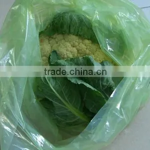 High Quality Factory Direct Fruit Plastic Packing Bag thumbnail-2