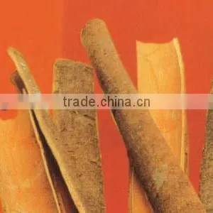 Cassia Split (crop 2014) for Hot Sale thumbnail-1