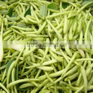Honeysuckle Flower Extract Lotus Flower Green Tea Sunflower Seeds thumbnail-3