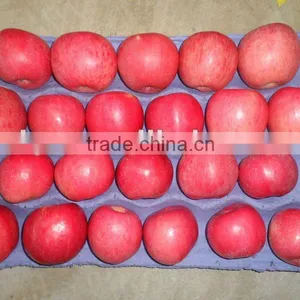 GANSU OF CHINA FUJI APPLE 2014 thumbnail-1