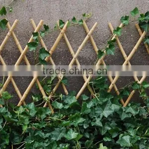 Bamboo Fence/ Garden Fences/wholesale Bamboo Fences thumbnail-1
