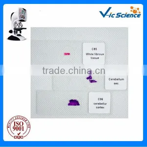Hot Sale Agglutination Test Slides for Teaching and Studying thumbnail-1