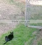 Privacy Fences thumbnail-1
