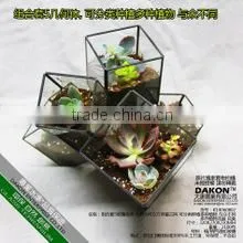 Acrylic Customized Plant Breeding Box thumbnail-1