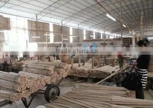 Guangxi Nanning Sweet Manufacturing & Trade Co., Ltd. company overview - view 2 thumbnail
