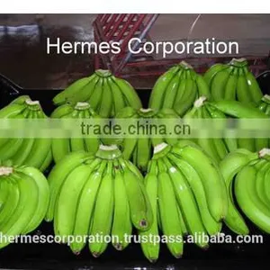 Fresh Green Bananas for Sale thumbnail-3