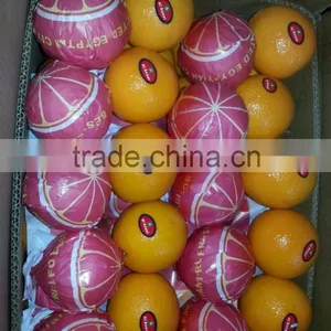 Forwell Oranges From Egypt thumbnail-5