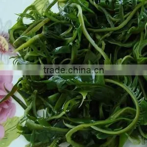 Seaweed Salad thumbnail-1