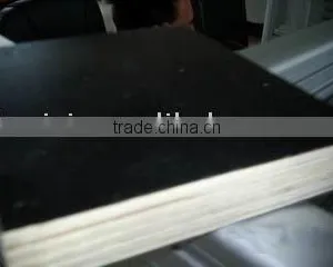 Black Film Poplar Core mr Glue Formwork Plywood for Construction thumbnail-1