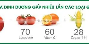 Gac Fruit Oil Capsules-Improve Eyesight, Anti Cancer, Anti Aging thumbnail-5