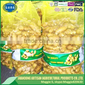 High Quality China Bulk Fresh Ginger thumbnail-2